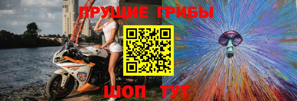 Псилоцибиновые грибы мицелий  закладка  Сургут  Вход с VPN 